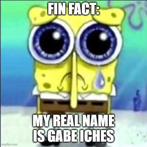 My real name is Gabe Iches | FIN FACT:; MY REAL NAME IS GABE ICHES | made w/ Imgflip meme maker