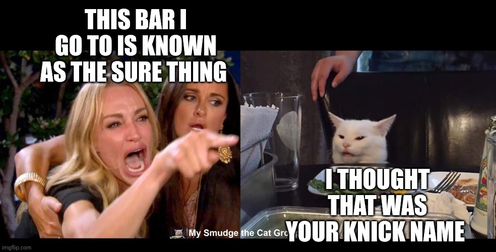  THIS BAR I GO TO IS KNOWN AS THE SURE THING; I THOUGHT THAT WAS YOUR KNICK NAME | image tagged in smudge the cat,smudge | made w/ Imgflip meme maker