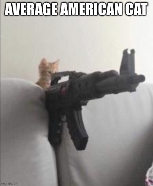 Bork | AVERAGE AMERICAN CAT | made w/ Imgflip meme maker