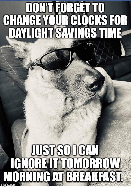 Belgian Malinois Mischka Daylight Savings Time | DON’T FORGET TO CHANGE YOUR CLOCKS FOR  DAYLIGHT SAVINGS TIME; JUST SO I CAN IGNORE IT TOMORROW MORNING AT BREAKFAST. | image tagged in memes | made w/ Imgflip meme maker