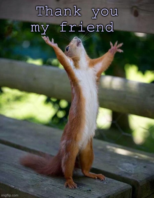 Happy Squirrel | Thank you my friend | image tagged in happy squirrel | made w/ Imgflip meme maker