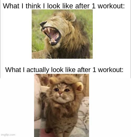 Hey why don't I have a 6-pack? I just did 5 push-ups in a row! | What I think I look like after 1 workout:; What I actually look like after 1 workout: | image tagged in white background | made w/ Imgflip meme maker