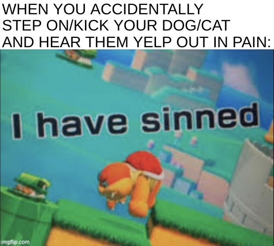 this is one of the worst feelings in the world | WHEN YOU ACCIDENTALLY STEP ON/KICK YOUR DOG/CAT AND HEAR THEM YELP OUT IN PAIN: | image tagged in i have sinned | made w/ Imgflip meme maker