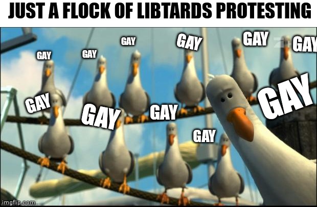 Liberals, they're so clever | JUST A FLOCK OF LIBTARDS PROTESTING; GAY; GAY; GAY; GAY; GAY; GAY; GAY; GAY; GAY; GAY; GAY | image tagged in nemo seagulls mine,florida,don't say gay,democrats,liberals,libtards | made w/ Imgflip meme maker