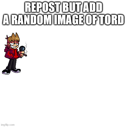 Blank Transparent Square | REPOST BUT ADD A RANDOM IMAGE OF TORD | image tagged in memes,blank transparent square | made w/ Imgflip meme maker