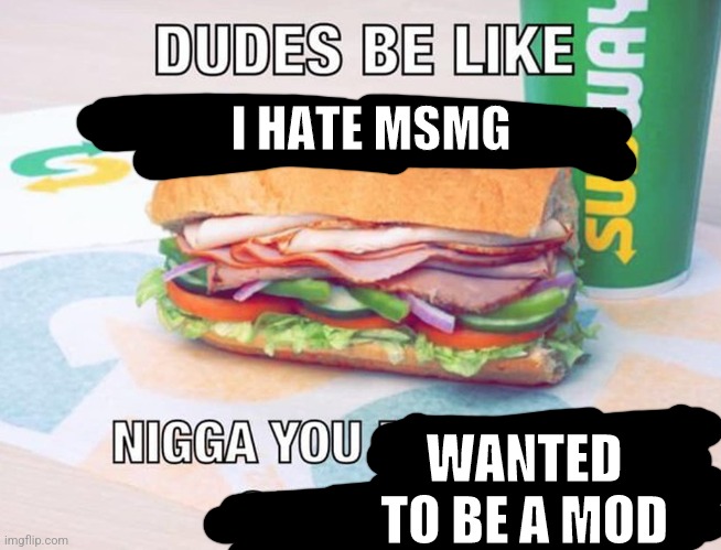 Don't understand | I HATE MSMG; WANTED TO BE A MOD | made w/ Imgflip meme maker