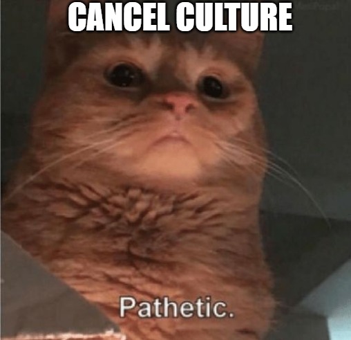 ridiculous | CANCEL CULTURE | image tagged in pathetic cat,pathetic | made w/ Imgflip meme maker