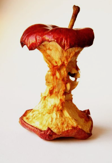 Rotten Apple Core Memes Imgflip