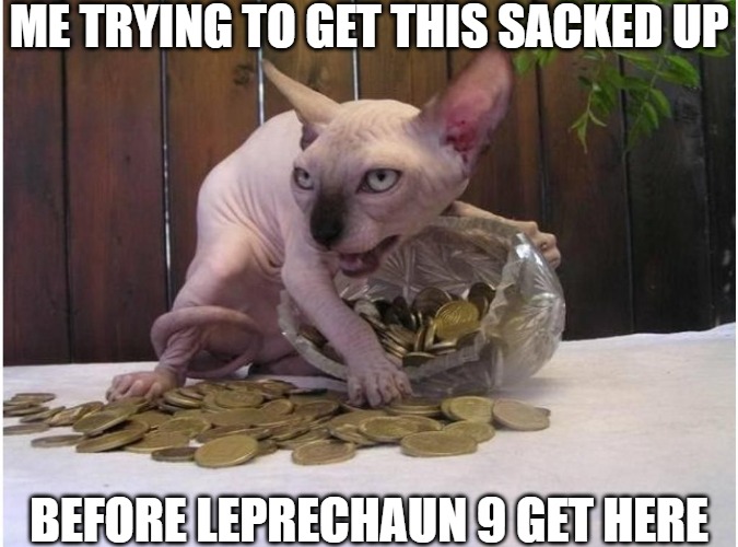trying to get it | ME TRYING TO GET THIS SACKED UP; BEFORE LEPRECHAUN 9 GET HERE | image tagged in hairless cat hoarding precious coins | made w/ Imgflip meme maker