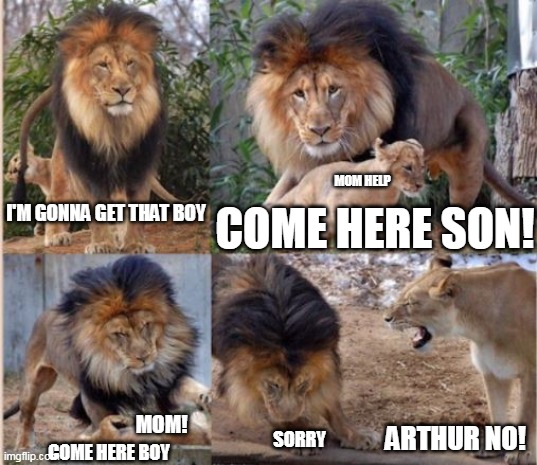 homemade | MOM HELP; I'M GONNA GET THAT BOY; COME HERE SON! MOM! ARTHUR NO! COME HERE BOY; SORRY | image tagged in lion | made w/ Imgflip meme maker