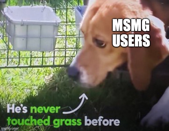 my weekly post | MSMG USERS | image tagged in he's never touched grass before | made w/ Imgflip meme maker