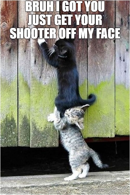 the back up plan | BRUH I GOT YOU JUST GET YOUR SHOOTER OFF MY FACE | image tagged in collaborating cats | made w/ Imgflip meme maker