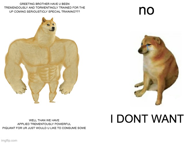 wxtremly smart on vs doggo | GREETING BROTHER HAVE U BEEN TREMENDOUSLY AND TORMENTINGLY TRAINED FOR THE UP COMING SERIOUSTICLY SPECIAL TRAINING??? no; WELL THAN WE HAVE APPLIED TREMENTOUSLY POWERFUL PIQUANT FOR UR JUST WOULD U LIKE TO CONSUME SOME; I DONT WANT | image tagged in memes,buff doge vs cheems | made w/ Imgflip meme maker