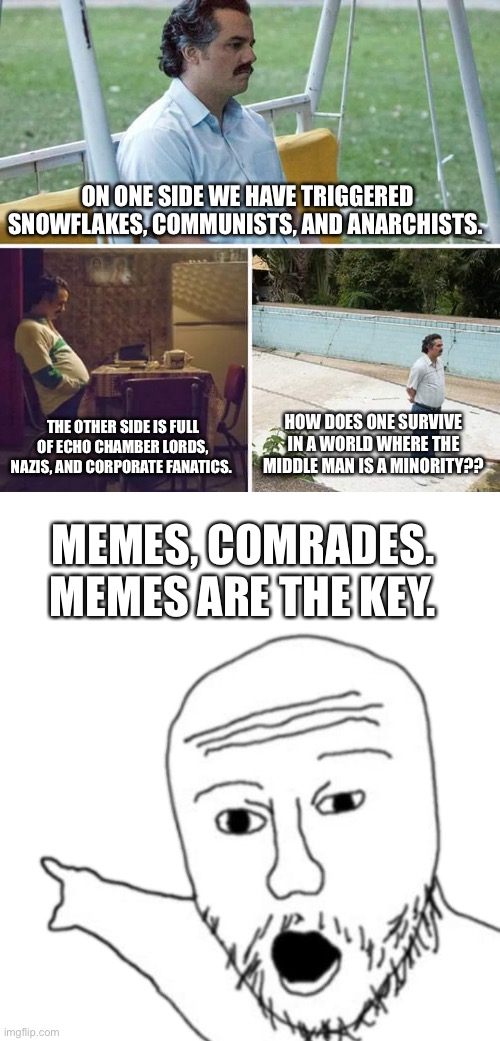 Memes unite?? | ON ONE SIDE WE HAVE TRIGGERED SNOWFLAKES, COMMUNISTS, AND ANARCHISTS. THE OTHER SIDE IS FULL OF ECHO CHAMBER LORDS, NAZIS, AND CORPORATE FANATICS. HOW DOES ONE SURVIVE IN A WORLD WHERE THE MIDDLE MAN IS A MINORITY?? MEMES, COMRADES. MEMES ARE THE KEY. | image tagged in memes,sad pablo escobar,wojak pointing men | made w/ Imgflip meme maker