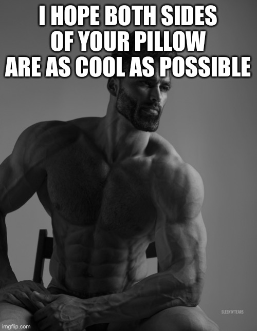 Giga Chad | I HOPE BOTH SIDES OF YOUR PILLOW ARE AS COOL AS POSSIBLE | image tagged in giga chad | made w/ Imgflip meme maker