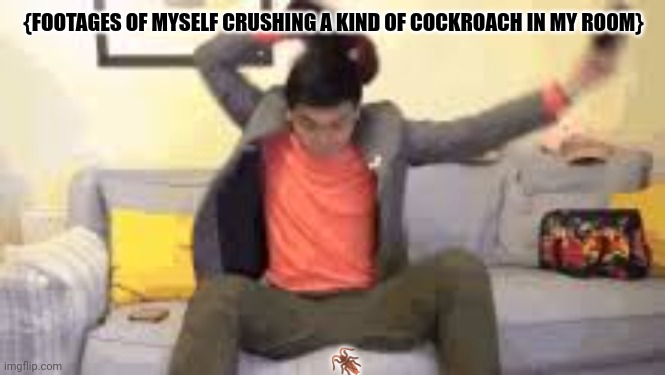 {FOOTAGES OF MYSELF CRUSHING A KIND OF COCKROACH IN MY ROOM}; 🪳 | image tagged in memes,cool,roach | made w/ Imgflip meme maker