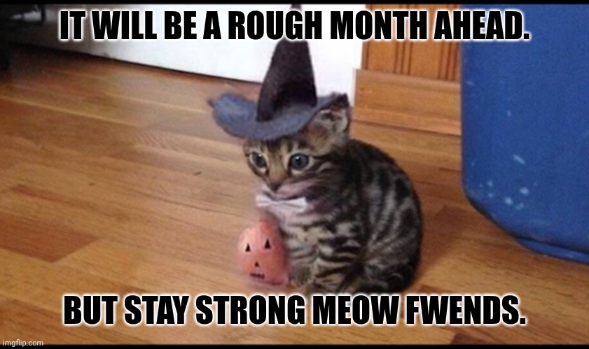 Halloween cat | IT WILL BE A ROUGH MONTH AHEAD. BUT STAY STRONG MEOW FWENDS. | image tagged in memes,kitty,rough | made w/ Imgflip meme maker