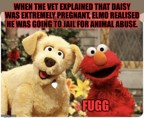 It's time to stop | WHEN THE VET EXPLAINED THAT DAISY WAS EXTREMELY PREGNANT, ELMO REALISED HE WAS GOING TO JAIL FOR ANIMAL ABUSE. FUGG | image tagged in elmo,dog,beastiality,sesame street,its time to stop | made w/ Imgflip meme maker