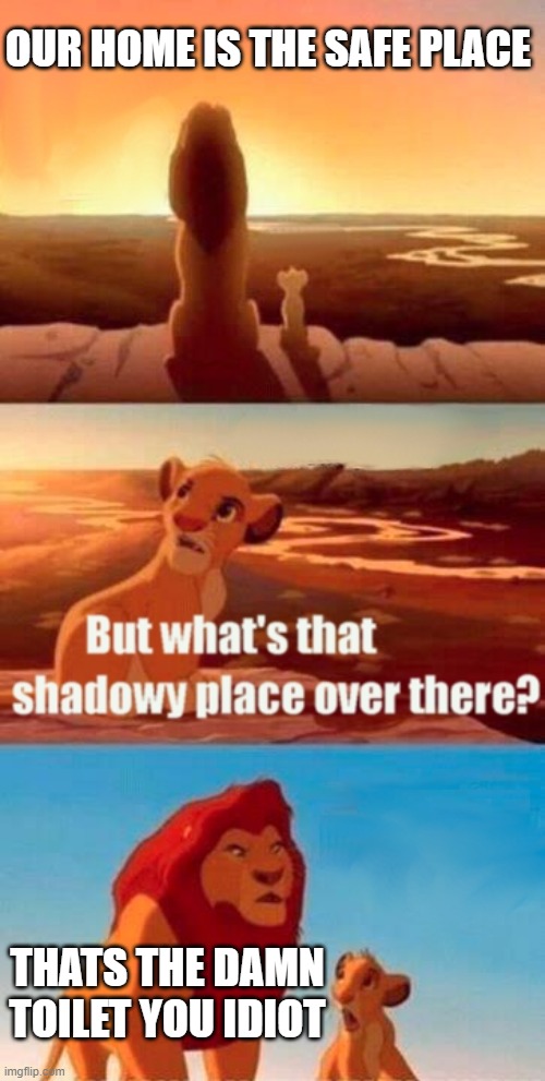 literally every child | OUR HOME IS THE SAFE PLACE; THATS THE DAMN TOILET YOU IDIOT | image tagged in memes,simba shadowy place | made w/ Imgflip meme maker