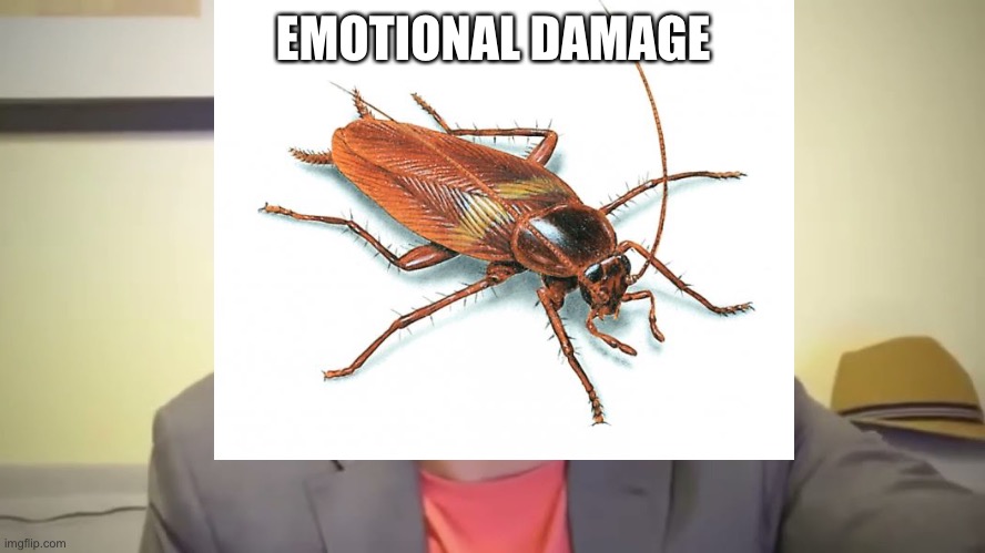 EMOTIONAL DAMAGE | made w/ Imgflip meme maker