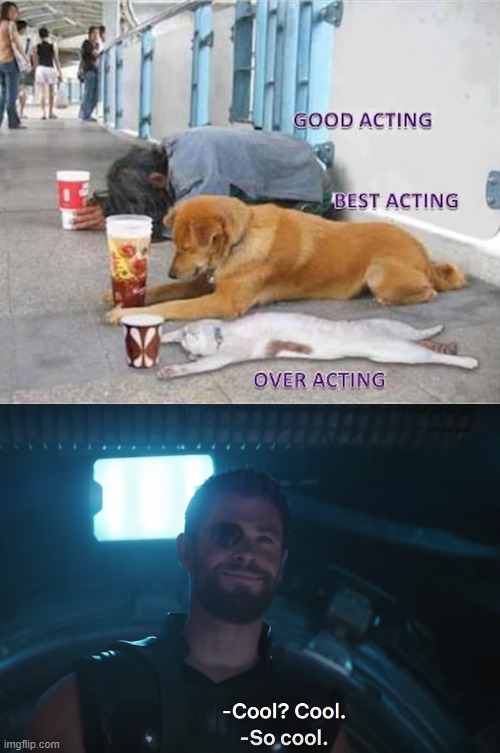 image tagged in thor so cool | made w/ Imgflip meme maker