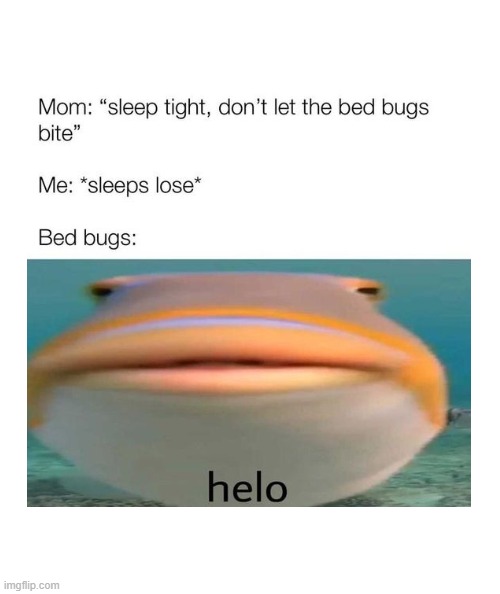 i- | image tagged in funny,fish,memes,lol | made w/ Imgflip meme maker