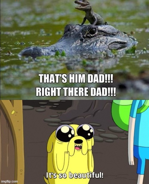 image tagged in adventure time | made w/ Imgflip meme maker