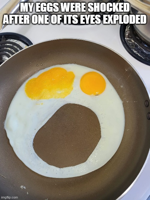 Pain Will Be All Over Soon When Eaten | MY EGGS WERE SHOCKED AFTER ONE OF ITS EYES EXPLODED | image tagged in meme,memes,humor,eggs | made w/ Imgflip meme maker
