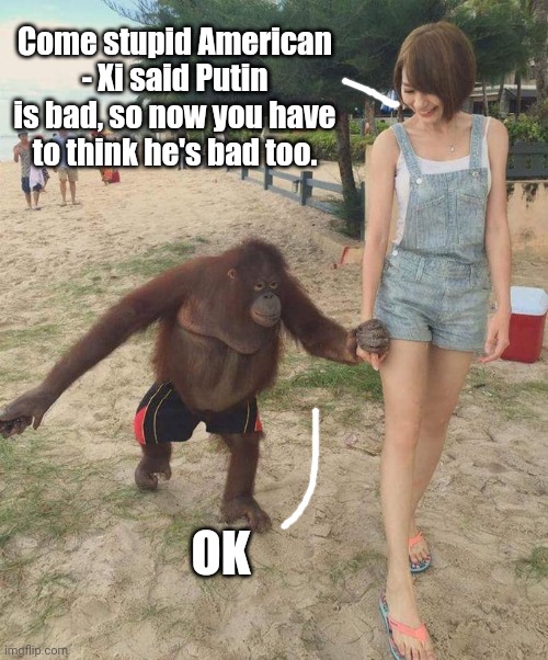 Sorry, Chad, the monkey gets the girl in real life | OK Come stupid American - Xi said Putin is bad, so now you have to think he's bad too. | image tagged in sorry chad the monkey gets the girl in real life | made w/ Imgflip meme maker