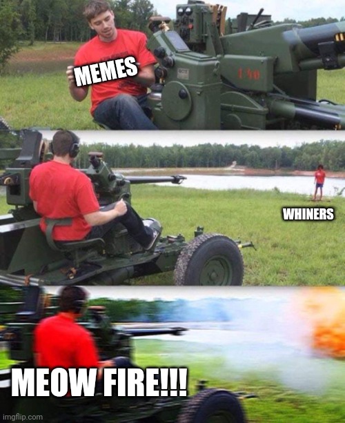 Cannon destruction | MEMES MEOW FIRE!!! WHINERS | image tagged in cannon destruction | made w/ Imgflip meme maker