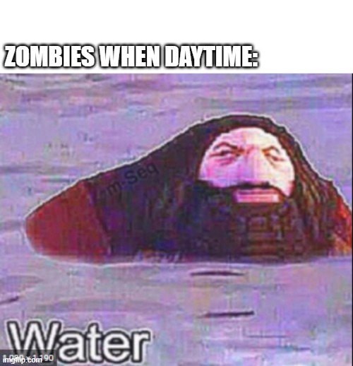Water | ZOMBIES WHEN DAYTIME: | image tagged in water,memes,minecraft,funny | made w/ Imgflip meme maker