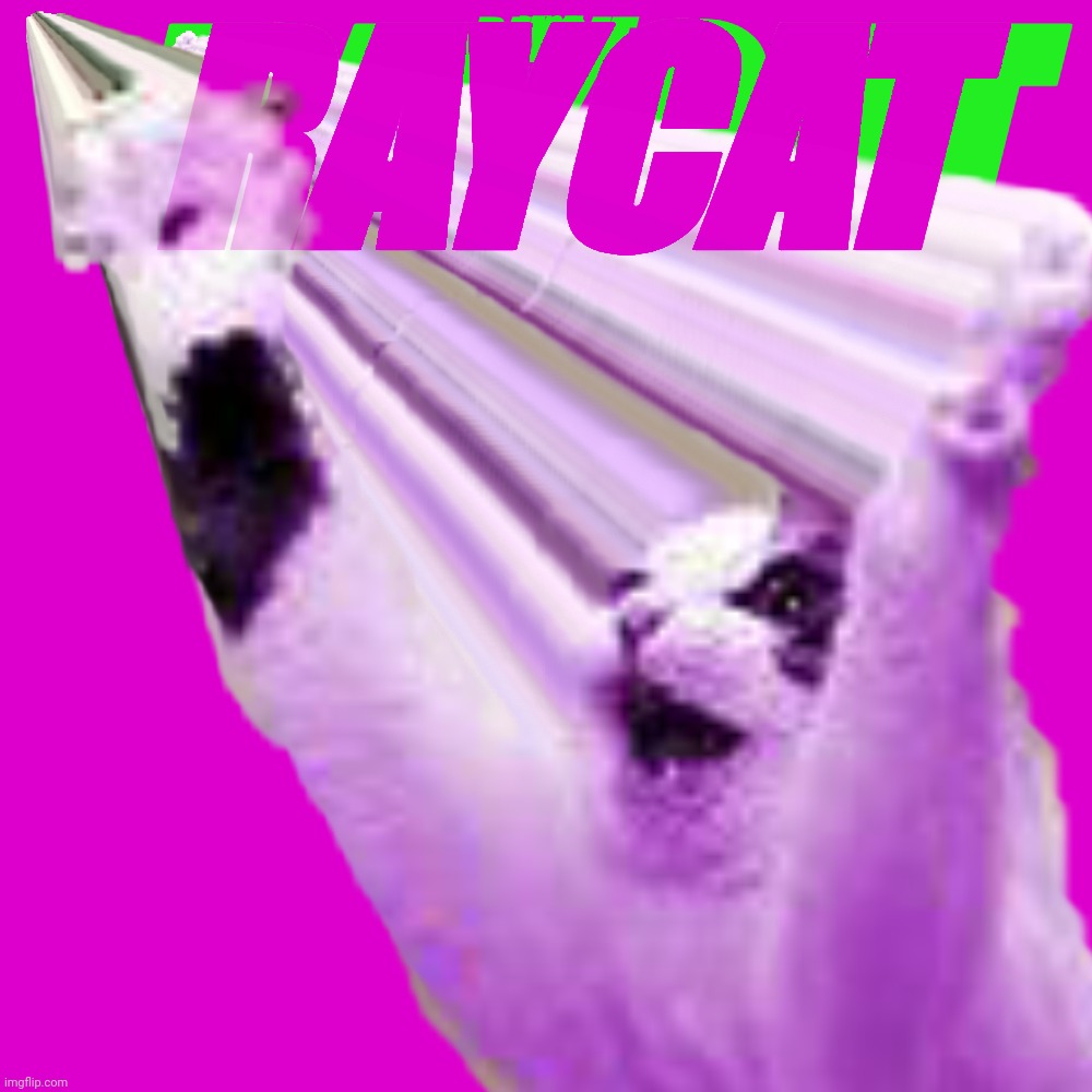 RayCat | RAYCAT | image tagged in raycat,raycat save the worldrld,blank transparent square,philadelphia experiment | made w/ Imgflip meme maker
