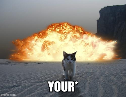 cat explosion | YOUR* | image tagged in cat explosion | made w/ Imgflip meme maker
