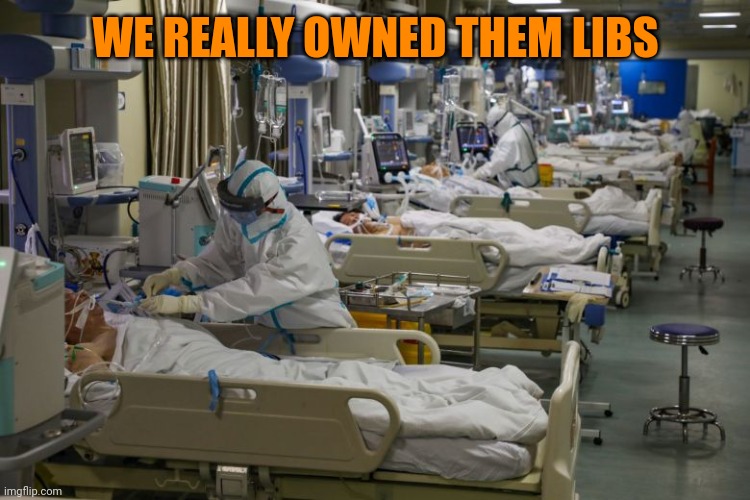 icu | WE REALLY OWNED THEM LIBS | image tagged in icu | made w/ Imgflip meme maker