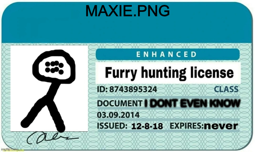 hi | MAXIE.PNG; I DONT EVEN KNOW | image tagged in furry hunting license | made w/ Imgflip meme maker