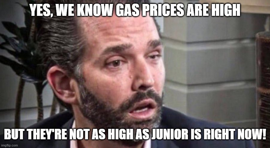 Donald Trump Jr | YES, WE KNOW GAS PRICES ARE HIGH; BUT THEY'RE NOT AS HIGH AS JUNIOR IS RIGHT NOW! | image tagged in donald trump jr | made w/ Imgflip meme maker