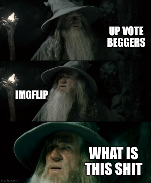 Confused Gandalf | UP VOTE BEGGERS; IMGFLIP; WHAT IS THIS SHIT | image tagged in memes,confused gandalf | made w/ Imgflip meme maker