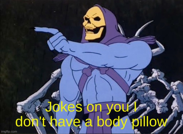 Jokes on you I’m into that shit | Jokes on you I don't have a body pillow | image tagged in jokes on you i m into that shit | made w/ Imgflip meme maker