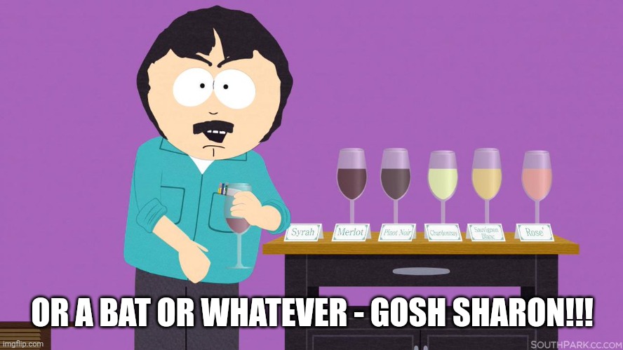 Randy marsh wine classy. | OR A BAT OR WHATEVER - GOSH SHARON!!! | image tagged in randy marsh wine classy | made w/ Imgflip meme maker