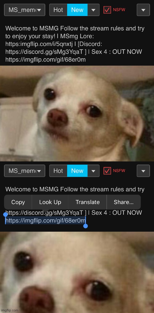 I don’t wanna do it | image tagged in concerned chihuahua | made w/ Imgflip meme maker