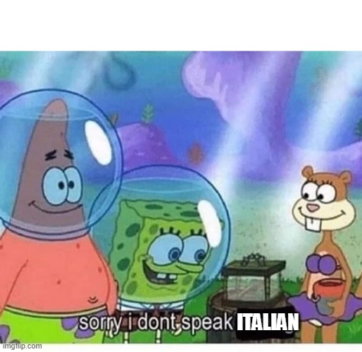 sorry i dont speak wrong | ITALIAN | image tagged in sorry i dont speak wrong | made w/ Imgflip meme maker