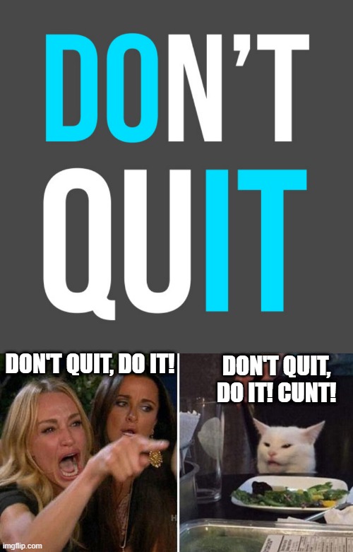 Extra Word! | DON'T QUIT, DO IT! DON'T QUIT, DO IT! CUNT! | image tagged in woman yelling at white cat | made w/ Imgflip meme maker