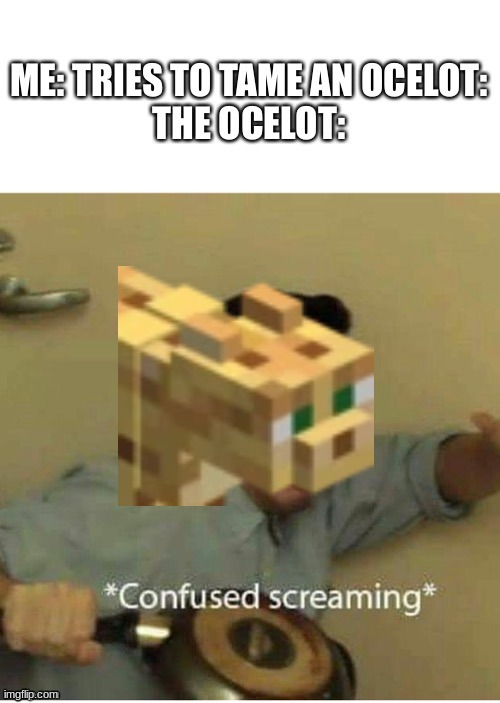 Relatable? | image tagged in minecraft,memes | made w/ Imgflip meme maker