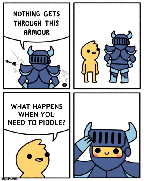 Safely Endangered “nothing gets through this armor | WHAT HAPPENS WHEN YOU NEED TO PIDDLE? | image tagged in safely endangered nothing gets through this armor | made w/ Imgflip meme maker