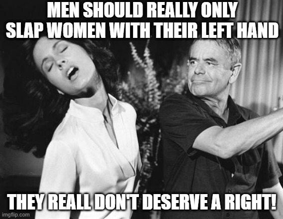 Wrong Hand | MEN SHOULD REALLY ONLY SLAP WOMEN WITH THEIR LEFT HAND; THEY REALL DON'T DESERVE A RIGHT! | image tagged in slapped | made w/ Imgflip meme maker