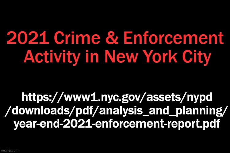 plain black | 2021 Crime & Enforcement 
Activity in New York City https://www1.nyc.gov/assets/nypd
/downloads/pdf/analysis_and_planning/
year-end-2021-enf | image tagged in plain black | made w/ Imgflip meme maker
