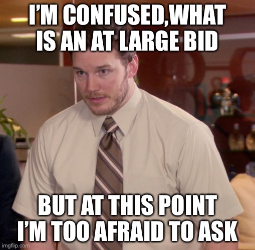 Afraid To Ask Andy Meme | I’M CONFUSED,WHAT IS AN AT LARGE BID; BUT AT THIS POINT I’M TOO AFRAID TO ASK | image tagged in memes,afraid to ask andy | made w/ Imgflip meme maker