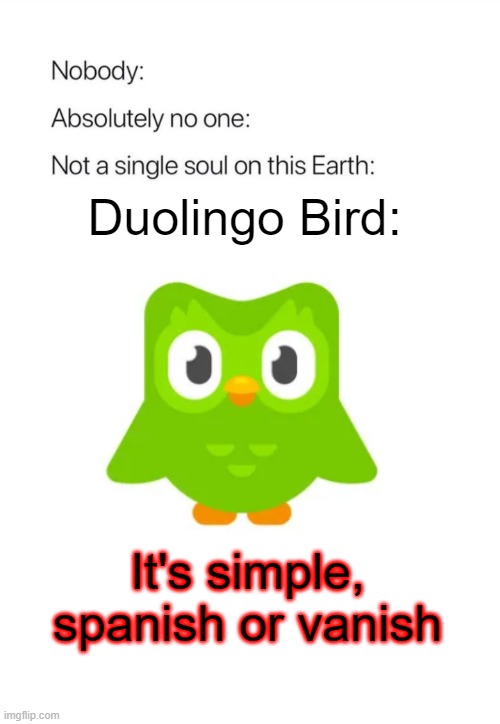 Duolingo bird be like | Duolingo Bird:; It's simple, spanish or vanish | image tagged in nobody absolutely no one,spanish,duolingo bird,evil,oh wow are you actually reading these tags | made w/ Imgflip meme maker