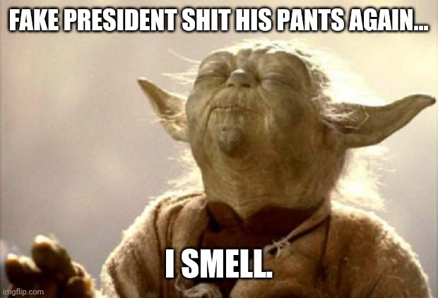 yoda smell | FAKE PRESIDENT SHIT HIS PANTS AGAIN... I SMELL. | image tagged in yoda smell | made w/ Imgflip meme maker