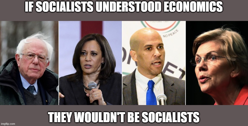 Socialists and Economy | IF SOCIALISTS UNDERSTOOD ECONOMICS; THEY WOULDN'T BE SOCIALISTS | image tagged in socialism idea,sicialists,economy | made w/ Imgflip meme maker